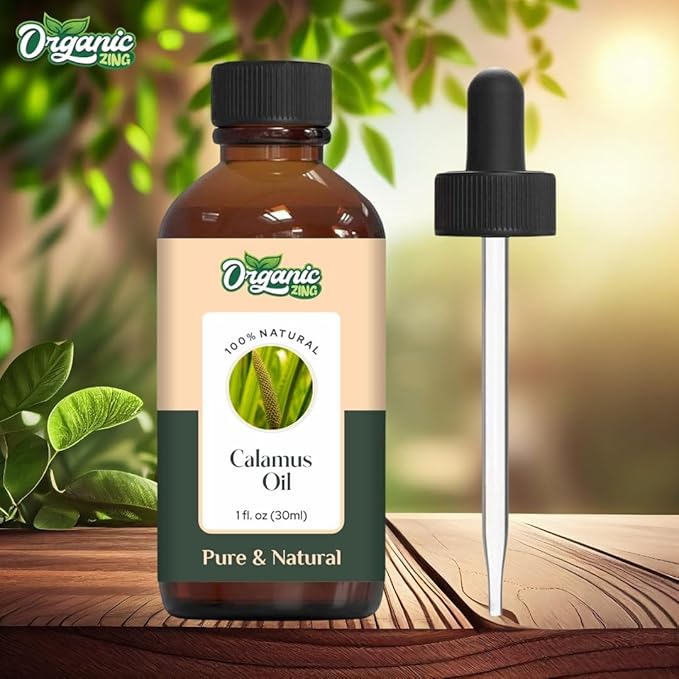 Organic Zing Calamus (Acorus Calamus) Oil | Essential Oil for Skincare, Hair Care, Aroma & Diffusers - 30 Ml