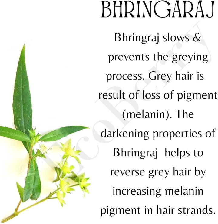 EcoBerry Bhringraj Curry Leaves Indian Gooseberry Hair Darkening Oil | 100% Natural, Organic & Vegan | Strengthens Hair, Reduces Breakage, Dandruff & Dry Scalp | Chemical-Free, Alcohol-Free, Paraben-Free | 100ml