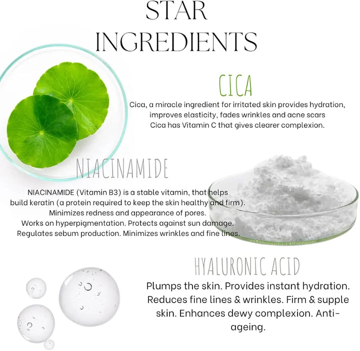 EcoBerry Centella Asiatica  Niacinamide Glow Essence With Hyaluronic Acid, Oil Free Essence, Moisturizer, Anti-Aging, Brightens Skin, Natural & Handmade, Chemical Free, Paraben Free, Vegan