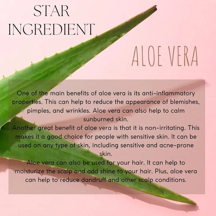 EcoBerry Pure Steam Distilled Aloe Vera Hydrosol Toning Facial Mist Soothes Skin, Sun Burn, Anti-Ageing, Promotes Hair growth, Reduces Dandruff, Natural, Handmade, Chemical Free, Paraben Free, Vegan