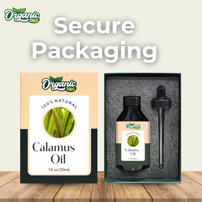 Organic Zing Calamus (Acorus Calamus) Oil | Essential Oil for Skincare, Hair Care, Aroma & Diffusers - 30 Ml
