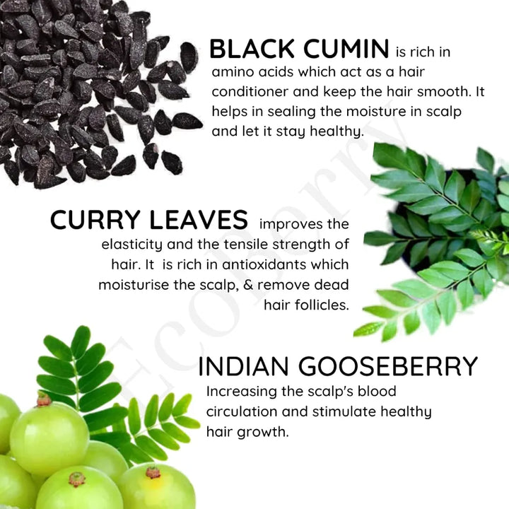 EcoBerry Bhringraj Curry Leaves Indian Gooseberry Hair Darkening Oil | 100% Natural, Organic & Vegan | Strengthens Hair, Reduces Breakage, Dandruff & Dry Scalp | Chemical-Free, Alcohol-Free, Paraben-Free | 100ml