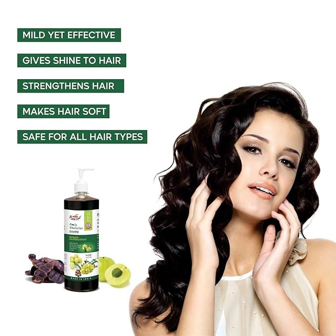 Bee One Amla Shikakai Shampoo - 500 ml
