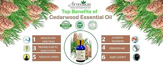 Arvedikas Cedar Wood Oil Natural Pure Cedarwood Aromatherapy Oil - 10 ml
