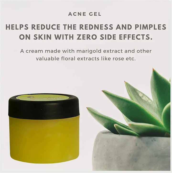 Fantaize - Handcrafted Acne Gel - Pack of 1 