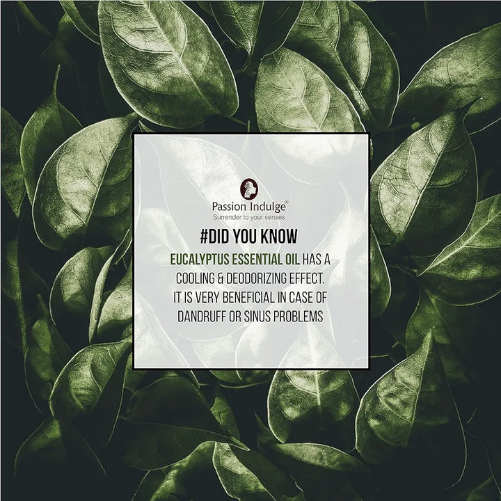 Passion Indulge Eucalyptus Essential Oil for Skin Eruptions, Acne, Oily Skin and Hair Dandruff - 10ml